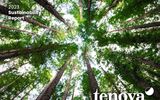 The 2023 Tenova Sustainability Report reconfirms the company's commitment to a greener and equal future